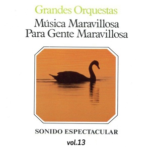 Обложка для Orquesta Música Maravillosa - Podria Yo Bailar