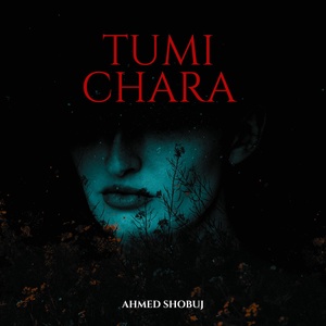 Обложка для Ahmed Shobuj - Tumi Chara