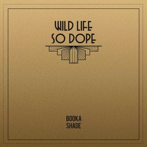 Обложка для Booka Shade - So Dope