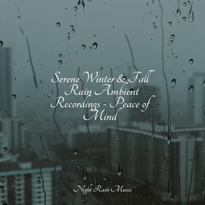 Обложка для Rain Sounds ACE, Rain Sound Studio, Nature Ambience - LoFi Rain on Window