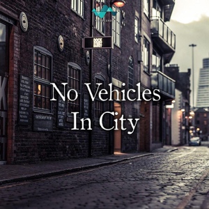 Обложка для NS Records - No Vehicles In City