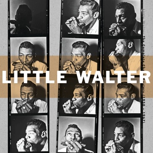 Обложка для Little Walter - Evans Shuffle