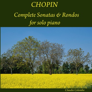 Обложка для Claudio Colombo - Piano Sonata No. 3 in B Minor, Op. 58: I. Allegro Maestoso