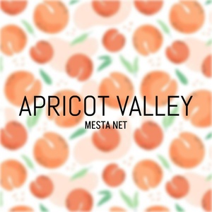 Обложка для MESTA NET - Apricot Valley