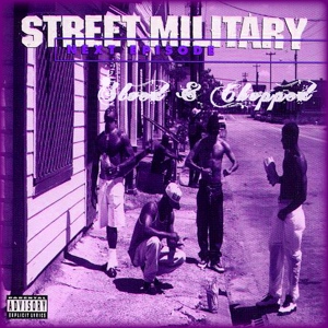 Обложка для Street Military - Aggravated Rasta