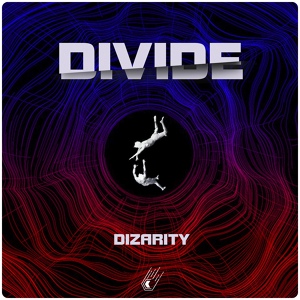 Обложка для Dizarity - Divide