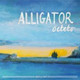 Обложка для Alligator - Brume
