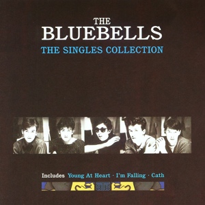 Обложка для The Bluebells - Forever More