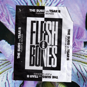 Обложка для The Subs, Tsar B - Flesh & Bones
