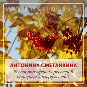Обложка для Антонина Сметанкина - Сиз голубчик