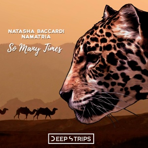 Обложка для Natasha Baccardi, Namatria - So Many Times