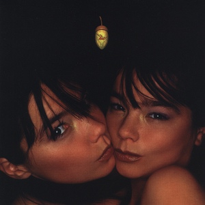 Обложка для Björk - Isobel