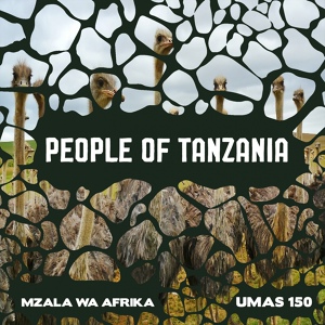 Обложка для Mzala Wa Afrika - Pena Pena