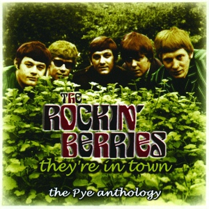 Обложка для The Rockin' Berries - Lonely Avenue