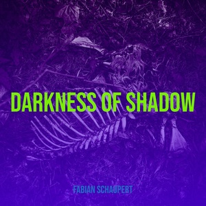 Обложка для Fabian Schaupert - Darkness of Shadow