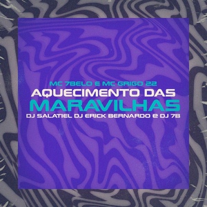 Обложка для MC 7 Belo, DJ Salatiel, mc grigo 22 feat. DJ Erick Bernardo - Aquecimento das Maravilhas