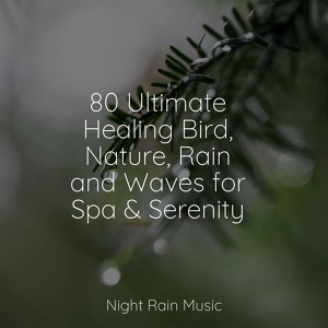 Обложка для Spa, Sleep Recording Sounds, Regen - Forest, Light Rain, MIdday