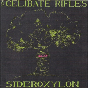 Обложка для The Celibate Rifles - Anthem