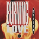 Обложка для D. Essex - Burning Love