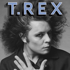 Обложка для T. Rex - Light Of Love