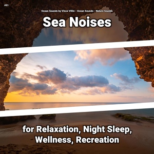 Обложка для Ocean Sounds by Vince Villin, Ocean Sounds, Nature Sounds - Ocean Sounds for Dog Barking