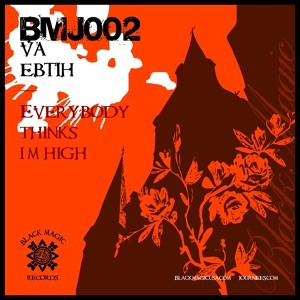 Обложка для Dj Voodoo, Liquid Method - Everybody Thinks I'm High