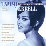 Обложка для Tammi Terrell - He's The One I Love