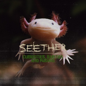 Обложка для Seether - No Shelter