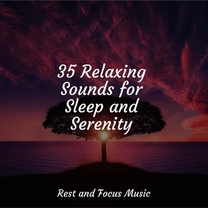 Обложка для Shakuhachi Sakano, Especialistas de Musica para Dormir, Sounds of Nature White Noise for Mindfulness Meditation and Relaxation - Connectivity