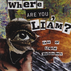 Обложка для WHERE ARE YOU LIAM - Birdy