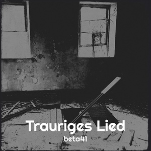 Обложка для beta41 - Trauriges Lied