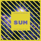 Обложка для Sum - Obligatory Bumbaclart tune