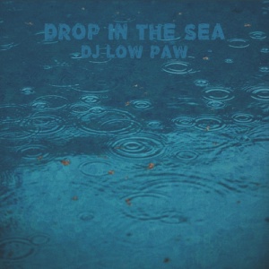 Обложка для Dj Low Paw - Element of Waves