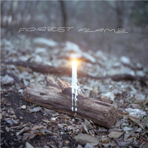 Обложка для Shea - Forest Flame