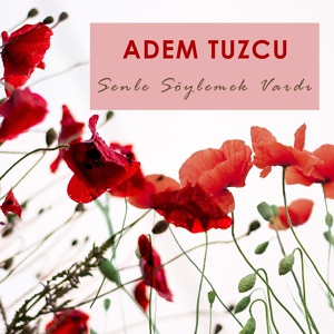 Обложка для Adem Tuzcu - Senle Söylemek Vardı
