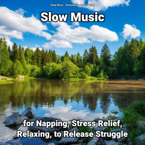 Обложка для Sleep Music, Relaxing Spa Music, Yoga - Slow Music Part 95