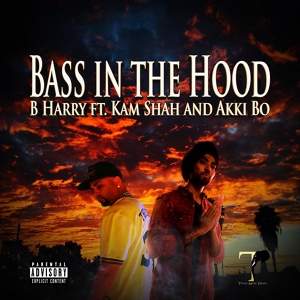 Обложка для B Harry feat. Kam Shah, Akkie Bo - Bass In The Hood