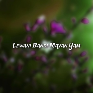 Обложка для Shani Khan - Lewani Bandi Mayan Yam