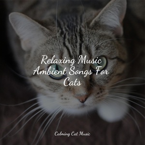 Обложка для Jazz Music Therapy for Cats, Calm Music for Cats, Cat Music Experience - Relaxing Music and Gentle Ambience