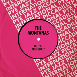 Обложка для The Montanas - Run to Me