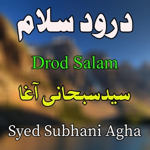 Обложка для Syed subhani Agha - Dam Pa Dam Shiby