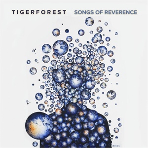 Обложка для Tigerforest - Through the Trees into the Water