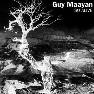 Обложка для Guy Maayan - So Alive