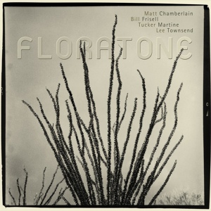 Обложка для Floratone - The Future