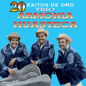 Обложка для Trío Armonía Huasteca - La Guazanga