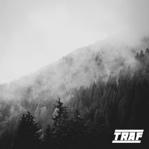 Обложка для TRAF - My Mowl