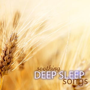 Обложка для Deep Sleep - Indian Ocean