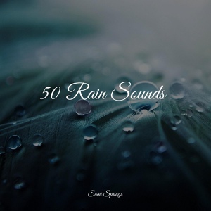 Обложка для Nursery Rhymes, Rain Sounds Collection, Rainforest - Ocean, Shore, Sparrows