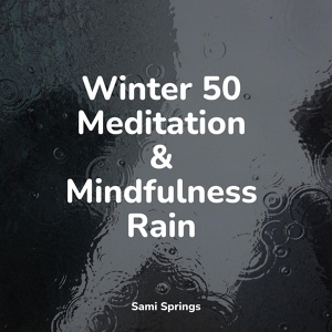 Обложка для Rain and Nature, Nature Soundscape, Mindfulness Meditation Universe - Ocean, Water Lapping, Beach