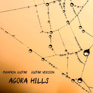 Обложка для Pumpkin Guitar - Agora Hills (Guitar Version)